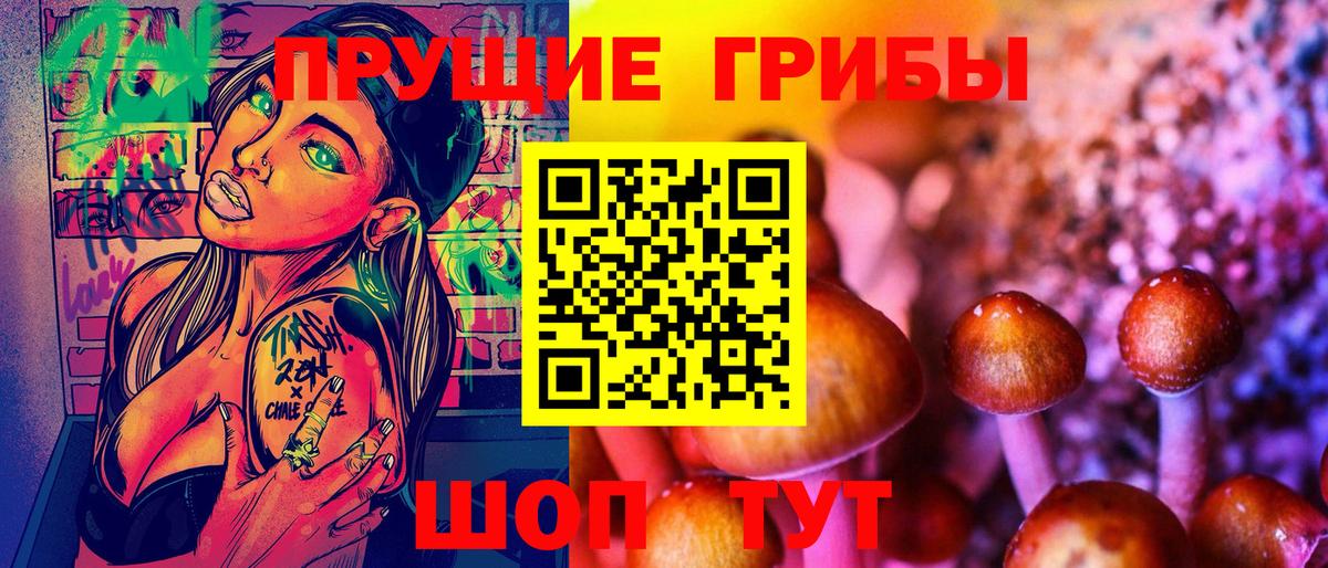 Галлюциногенные грибы GOLDEN TEACHER Зима