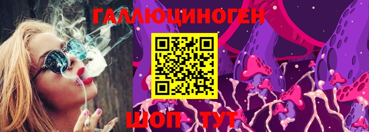 Зима  Галлюциногенные грибы Psilocybine cubensis  Вход с VPN 