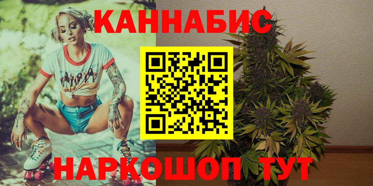 Каннабис индика Зима